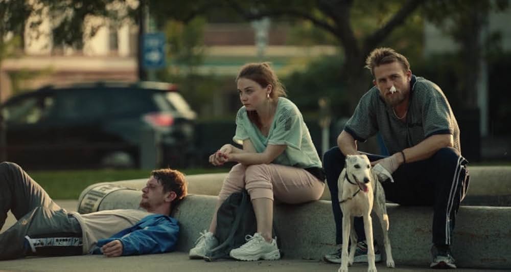 ジャングルランドの画像