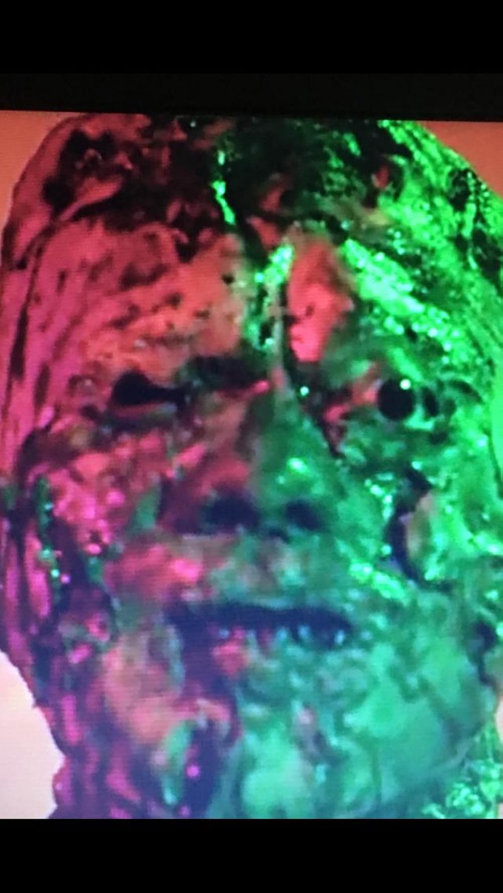 サンゲリア2の画像