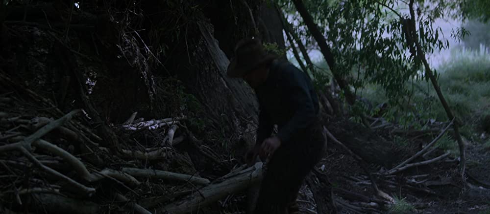 パワー・オブ・ザ・ドッグの画像