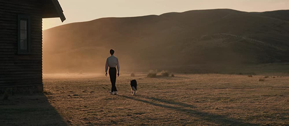 「パワー・オブ・ザ・ドッグ」コディ・スミット＝マクフィーの画像