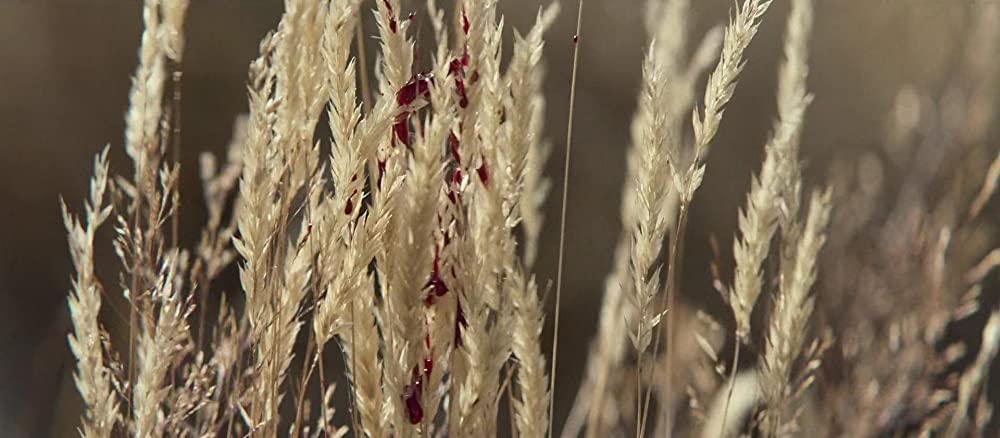 パワー・オブ・ザ・ドッグの画像