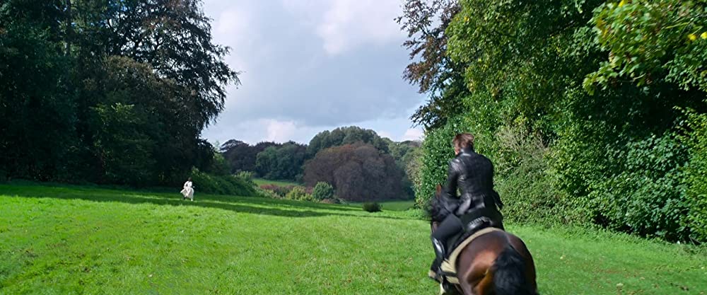 シンデレラの画像