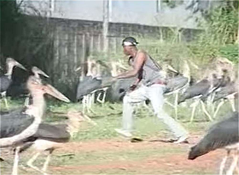 誰がキャプテン・アレックスを殺したかの画像