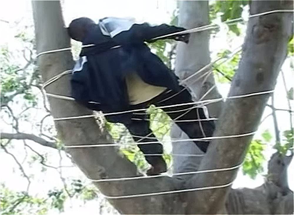 誰がキャプテン・アレックスを殺したかの画像