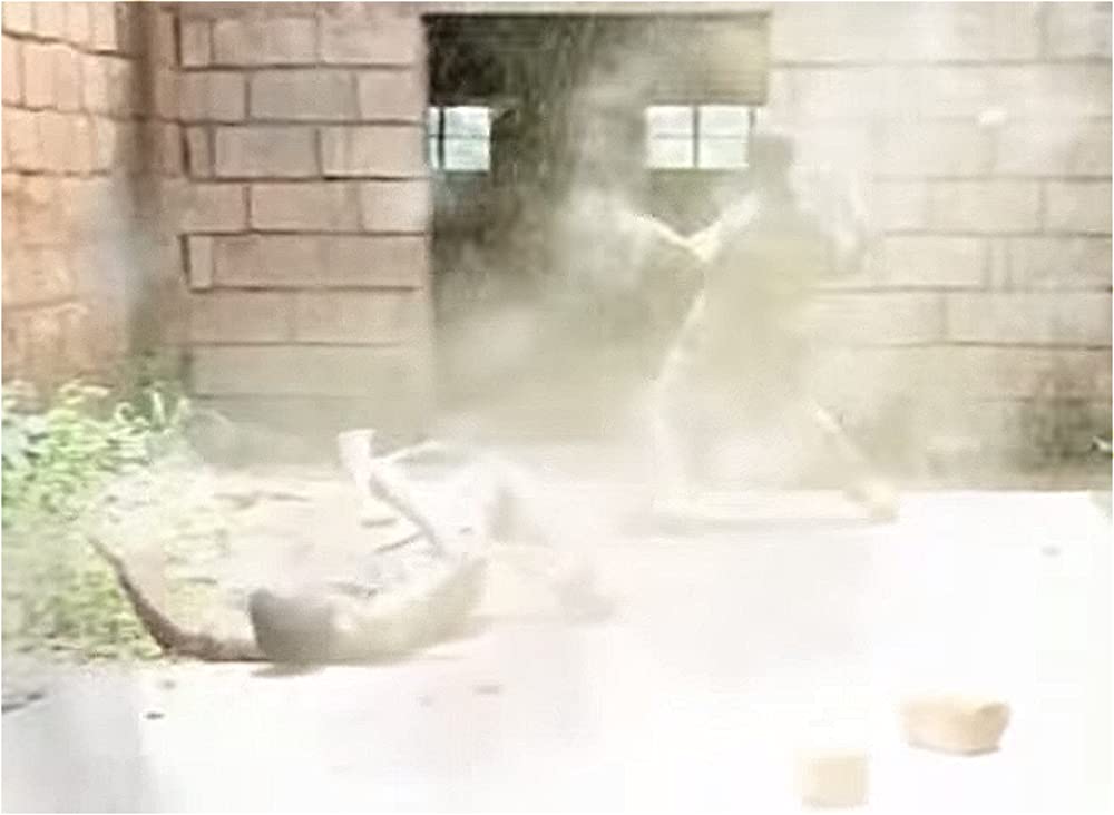 誰がキャプテン・アレックスを殺したかの画像