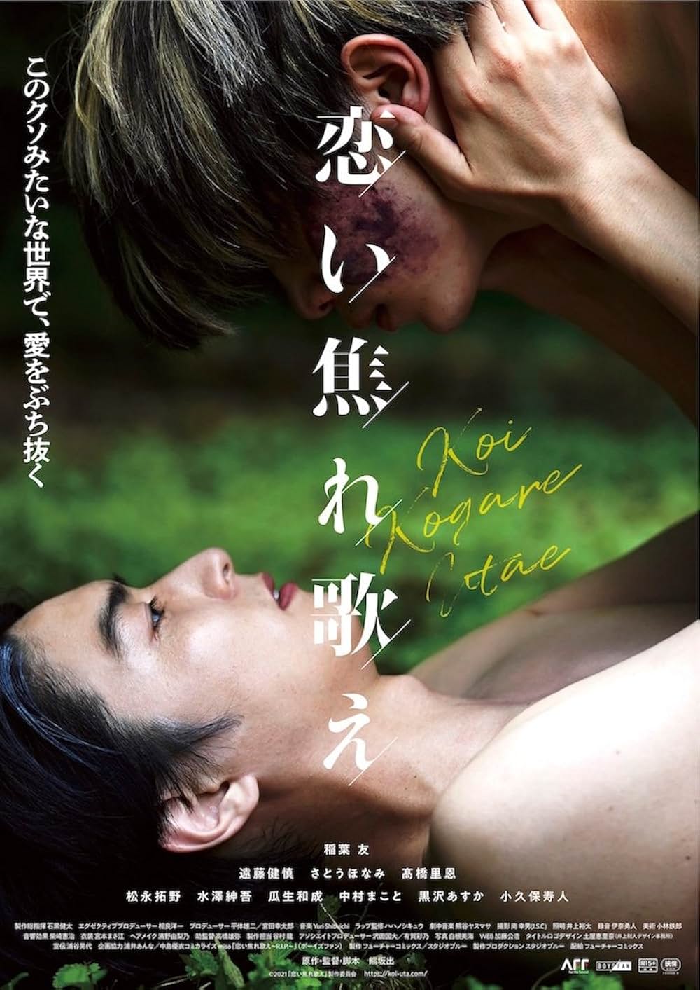 「恋い焦れ歌え」の画像