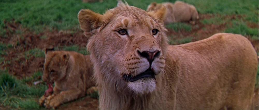 007/カジノ・ロワイヤル（1967）の画像