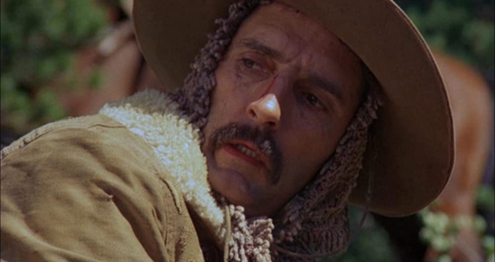 「ミズーリ・ブレイク」ハリー・ディーン・スタントンの画像