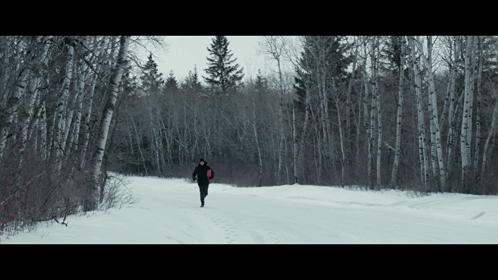 アイス・ロードの画像