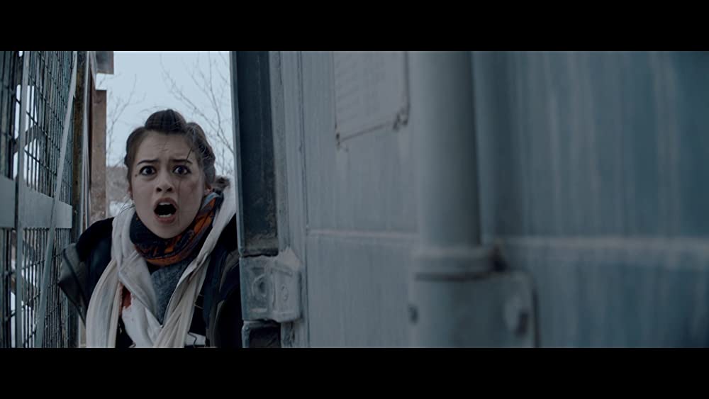 アイス・ロードの画像