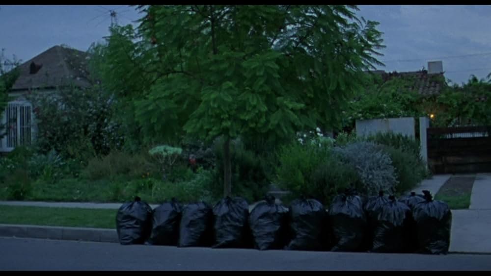 リービング・ラスベガスの画像