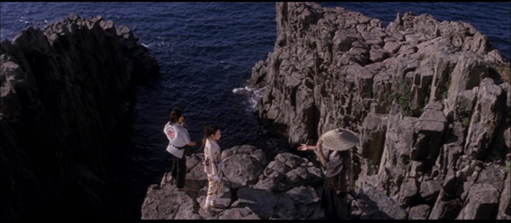 忍者武芸帖 百地三太夫の画像