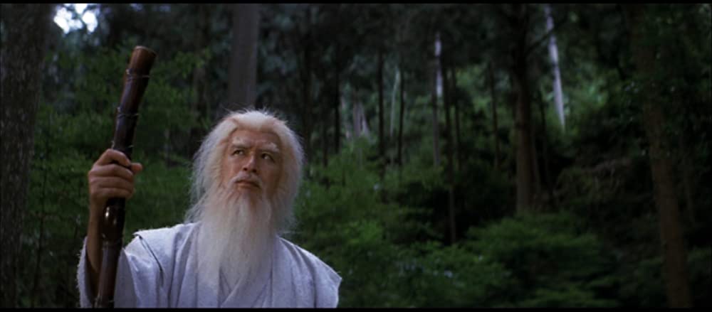 忍者武芸帖 百地三太夫の画像