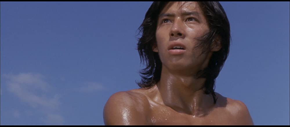 忍者武芸帖 百地三太夫の画像