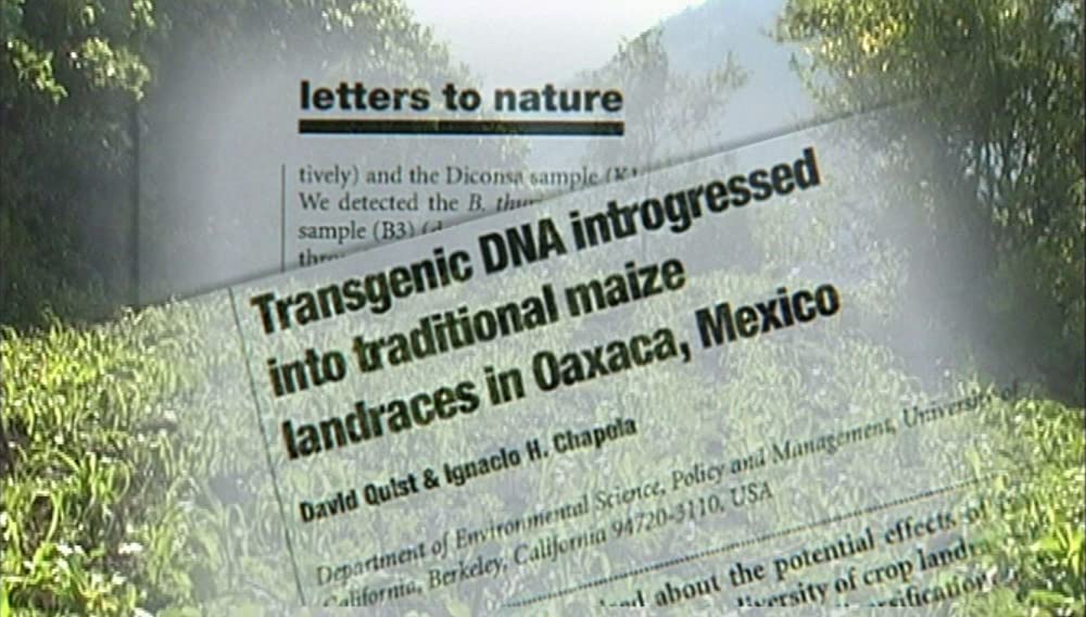 食の未来の画像