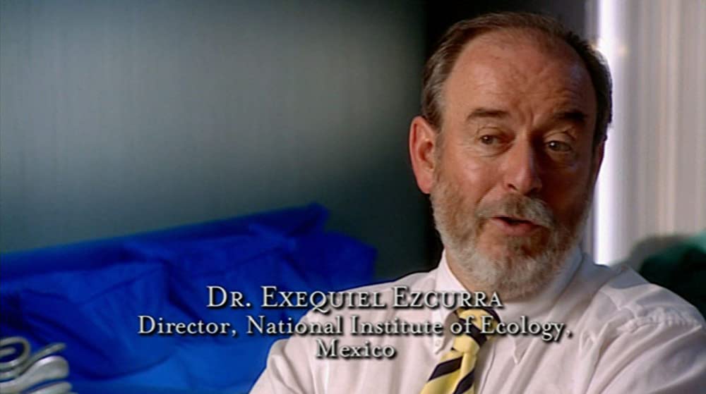 食の未来の画像