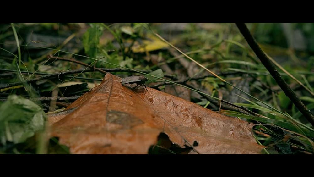 ネイビーシールズ ウォー・ファイターの画像