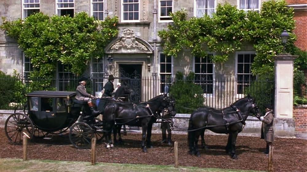 「いつか晴れた日に」の画像