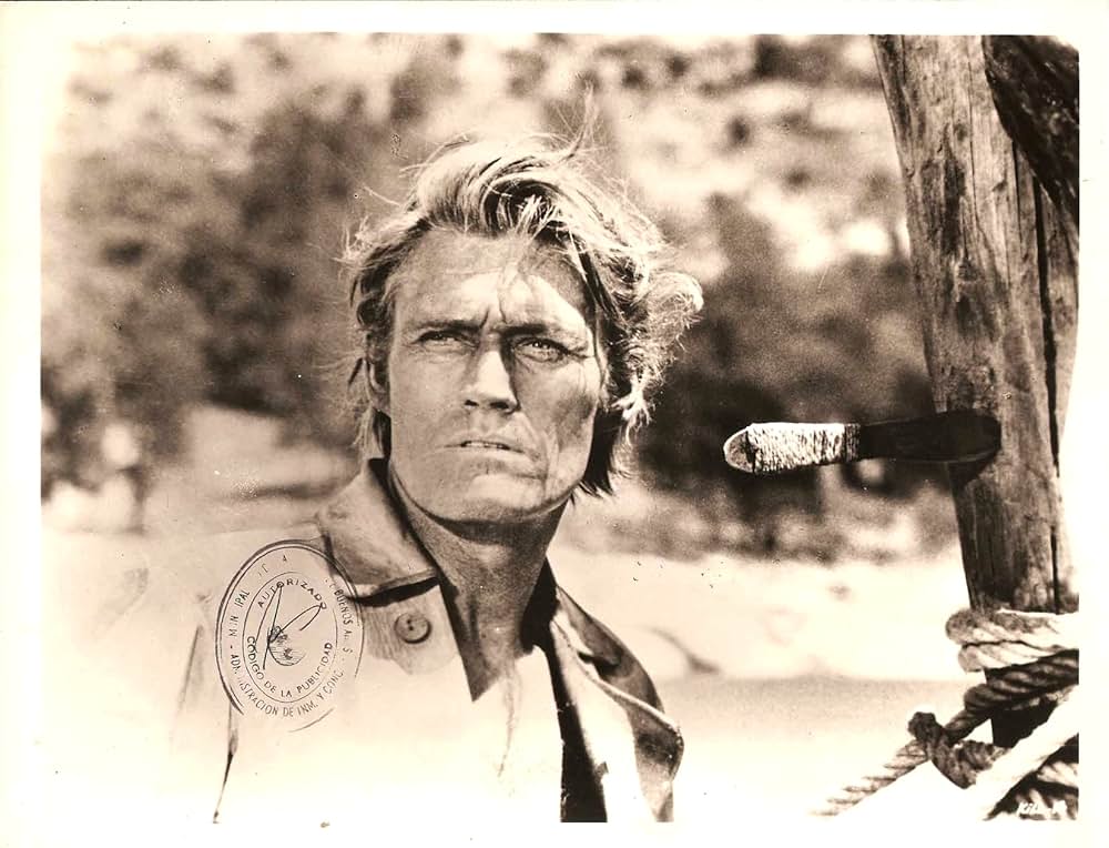 七人の特命隊の画像