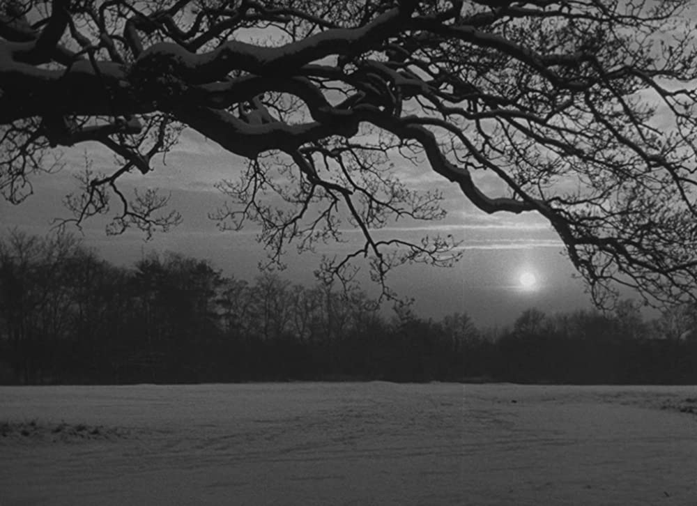 デッド・オブ・ナイト／夢の中の恐怖の画像