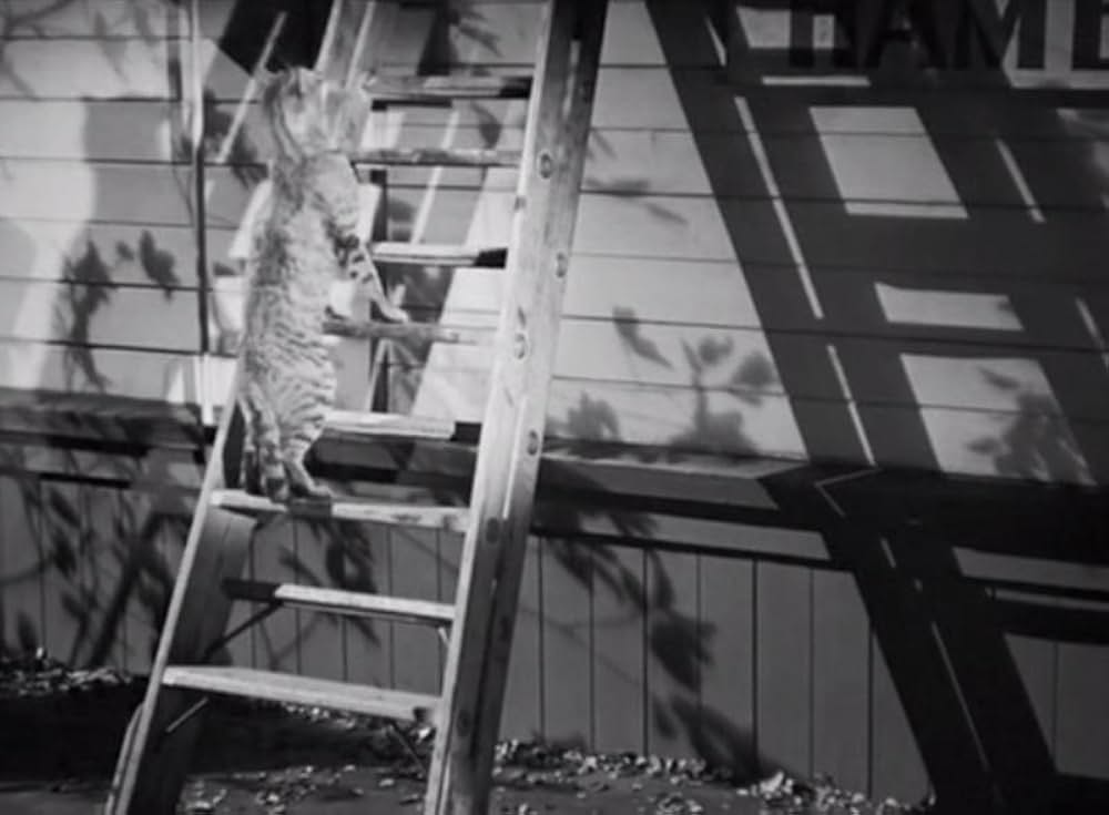 郵便配達は二度ベルを鳴らすの画像