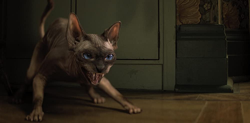 ナイトブックの画像