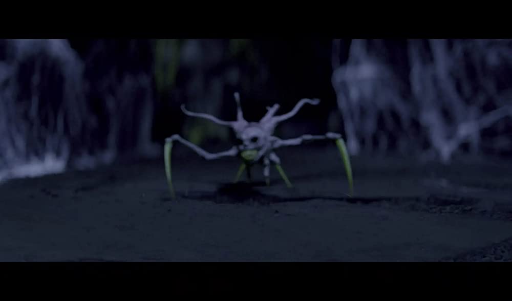 ナイトブックの画像