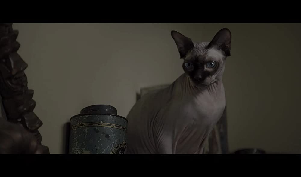 ナイトブックの画像