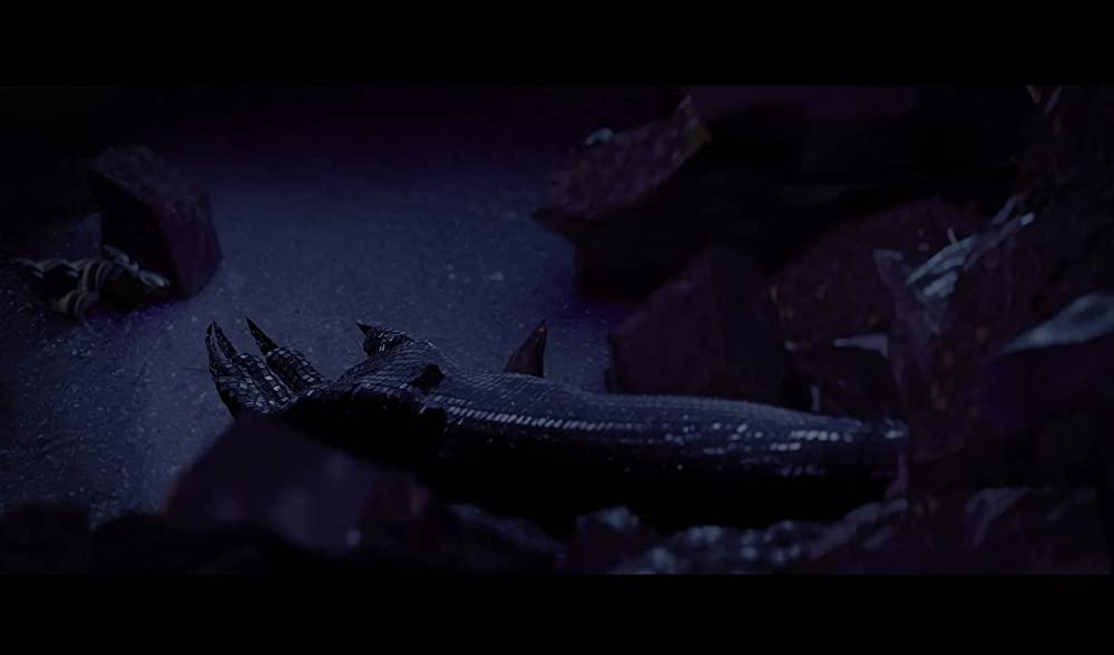 ナイトブックの画像