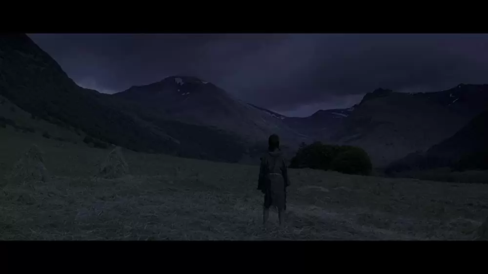 ブレイブハートの画像