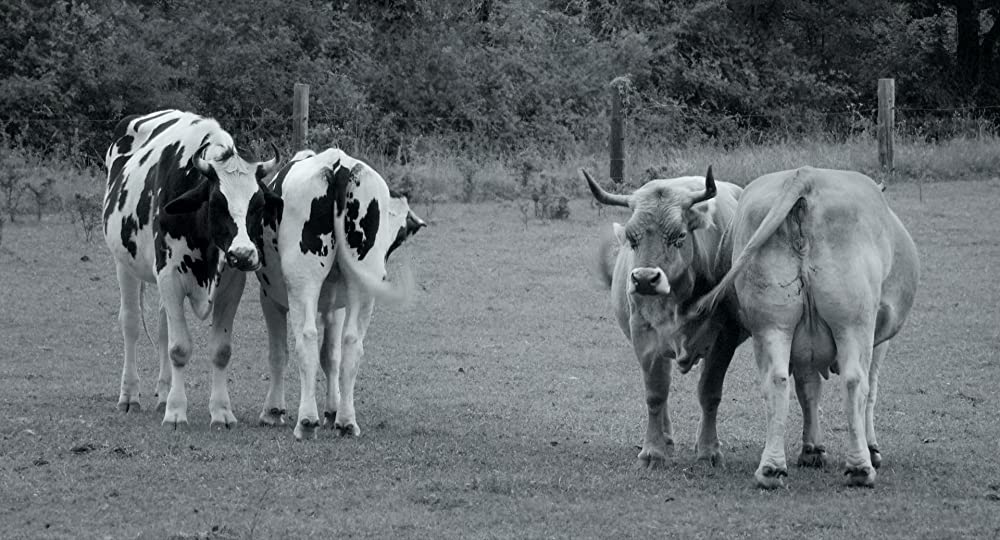 GUNDA／グンダの画像