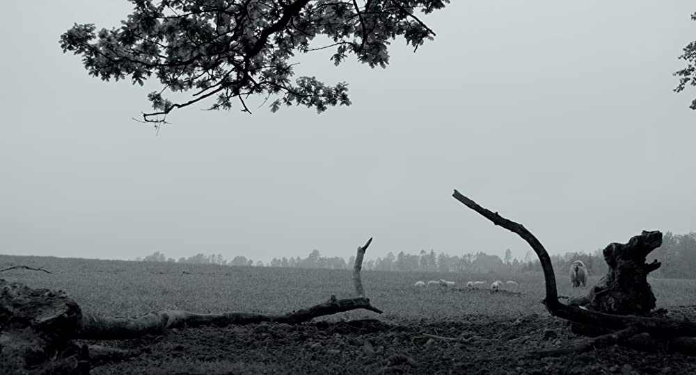 GUNDA／グンダの画像