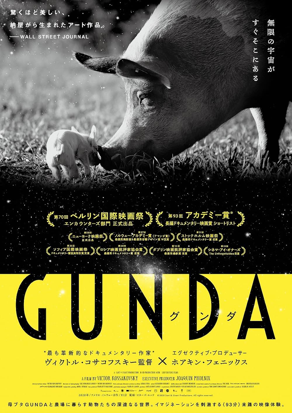 「GUNDA／グンダ」の画像