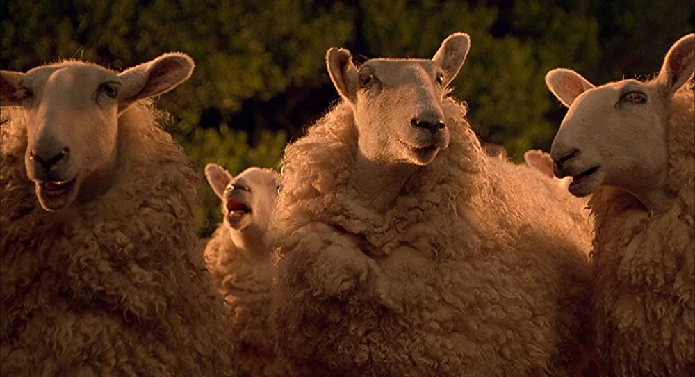 スピード2の画像