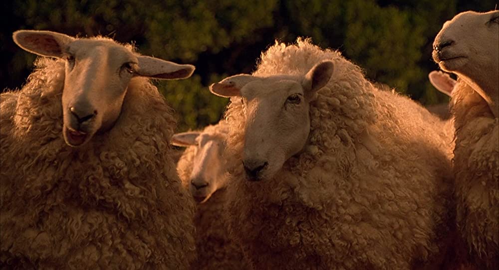 スピード2の画像