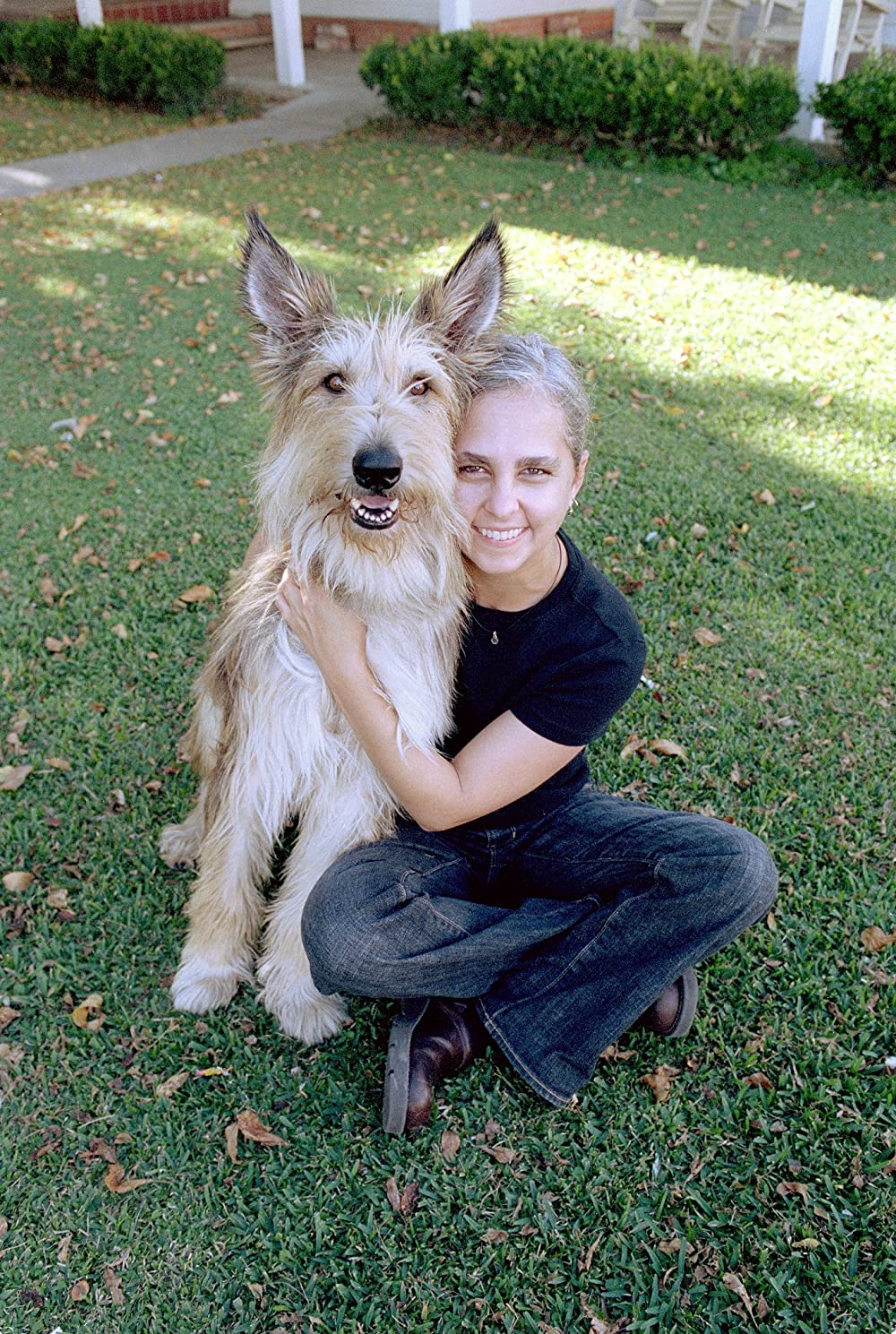 きいてほしいの、あたしのこと ウィン・ディキシーのいた夏の画像