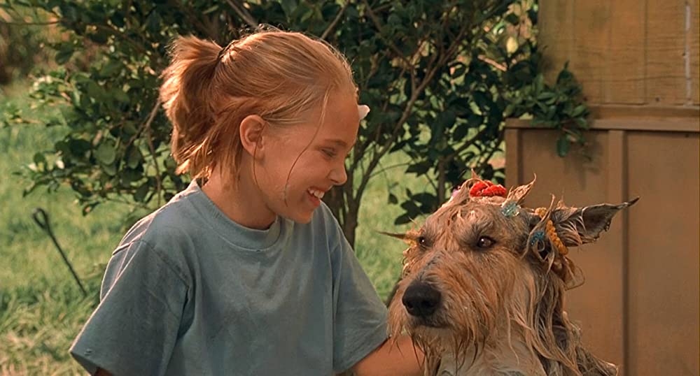 きいてほしいの、あたしのこと ウィン・ディキシーのいた夏の画像