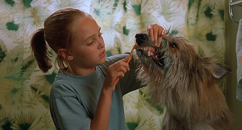 きいてほしいの、あたしのこと ウィン・ディキシーのいた夏の画像