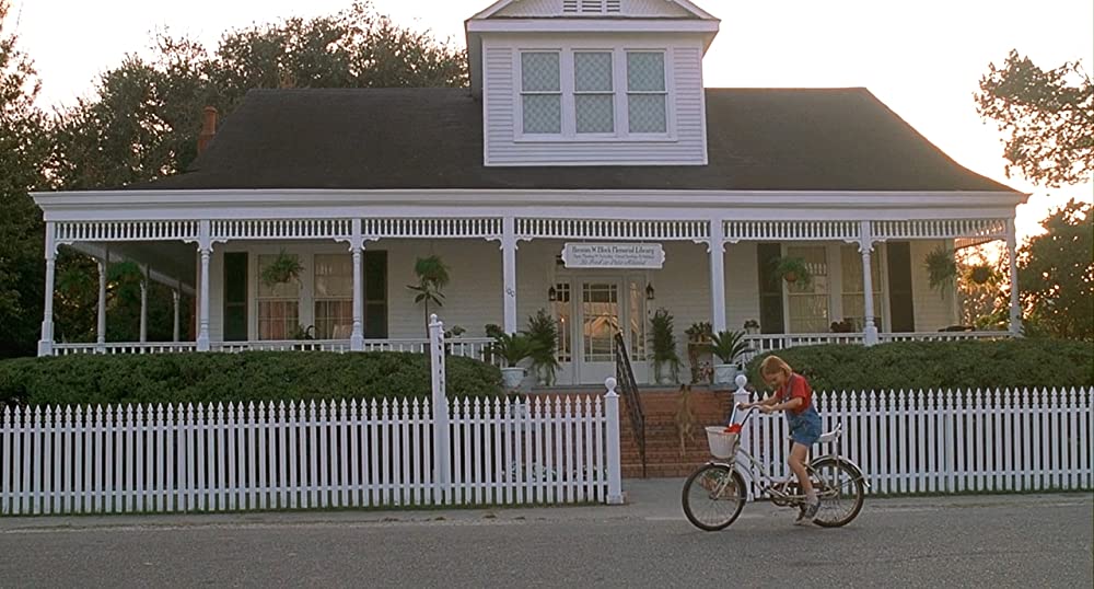 きいてほしいの、あたしのこと ウィン・ディキシーのいた夏の画像