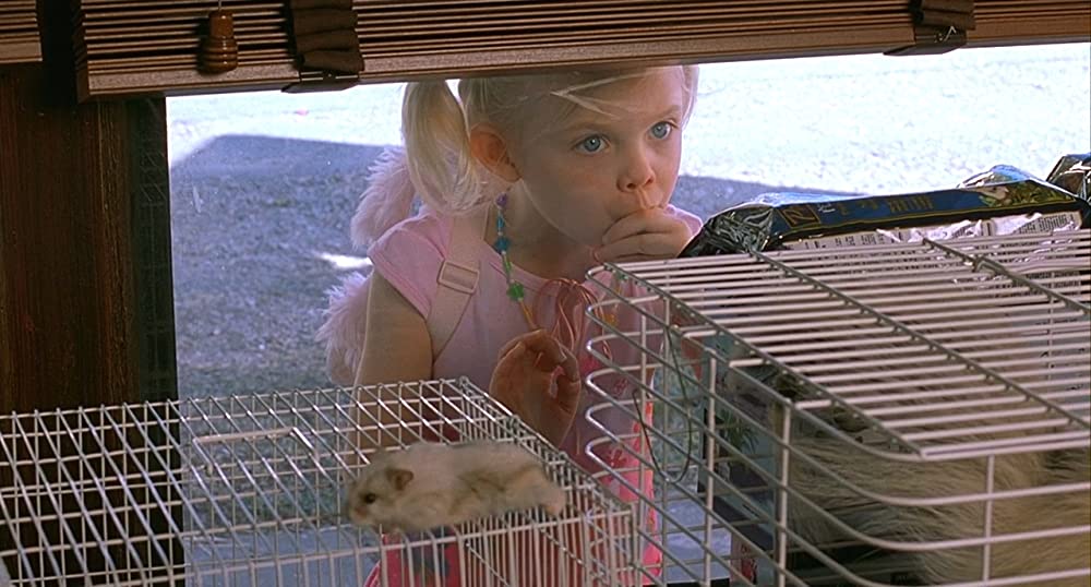 きいてほしいの、あたしのこと ウィン・ディキシーのいた夏の画像