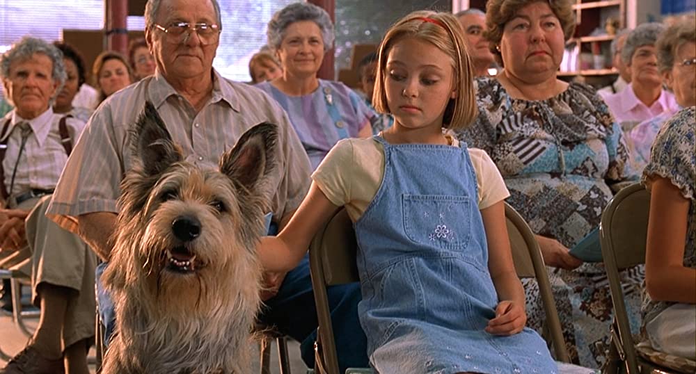 きいてほしいの、あたしのこと ウィン・ディキシーのいた夏の画像