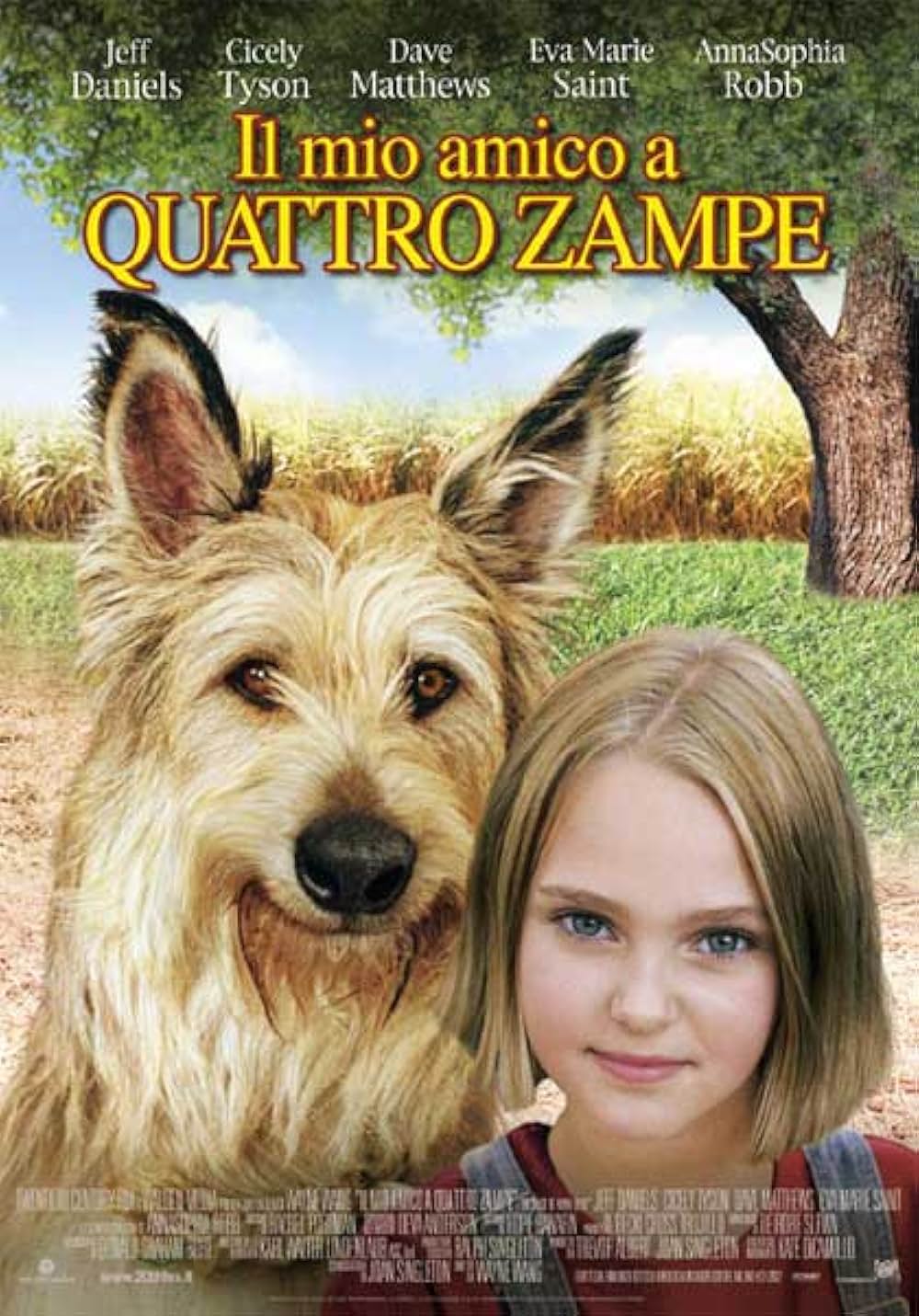 きいてほしいの、あたしのこと ウィン・ディキシーのいた夏の画像