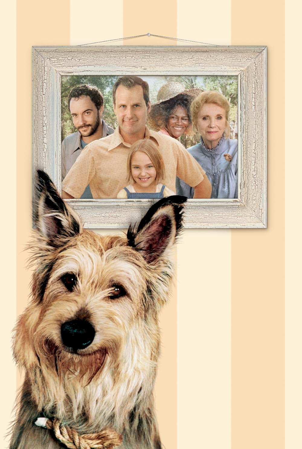 きいてほしいの、あたしのこと ウィン・ディキシーのいた夏の画像