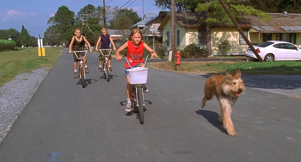 きいてほしいの、あたしのこと ウィン・ディキシーのいた夏の画像