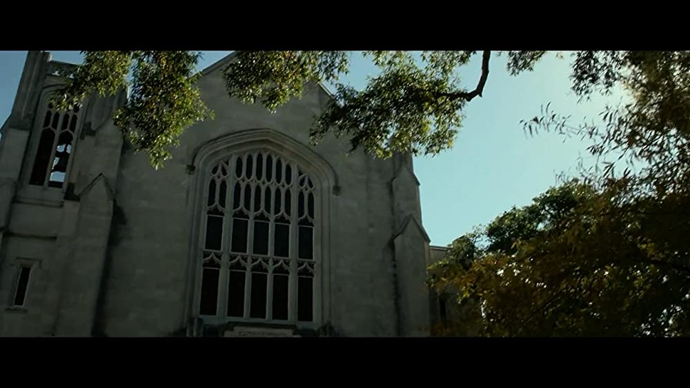 奇跡の絆の画像