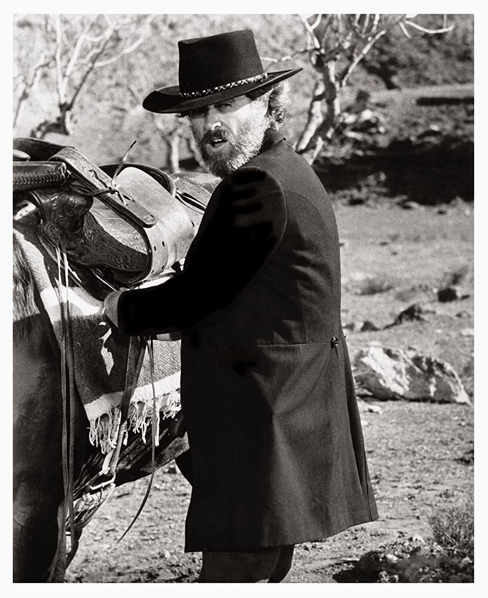 女ガンマン・皆殺しのメロディの画像