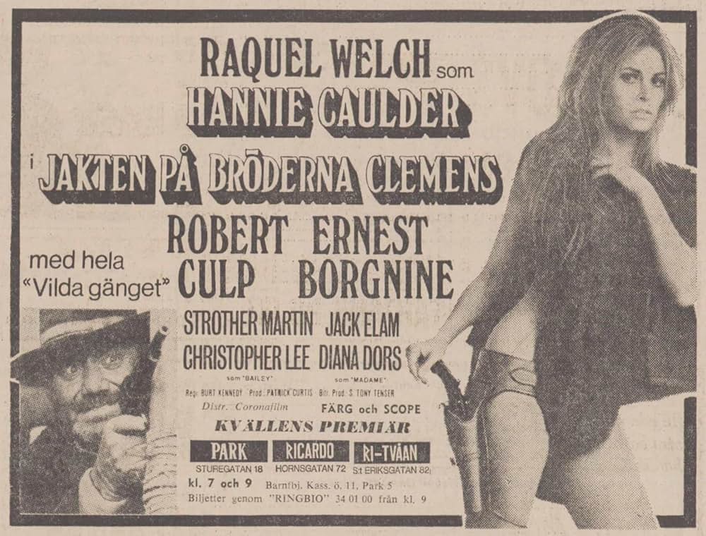 女ガンマン・皆殺しのメロディの画像