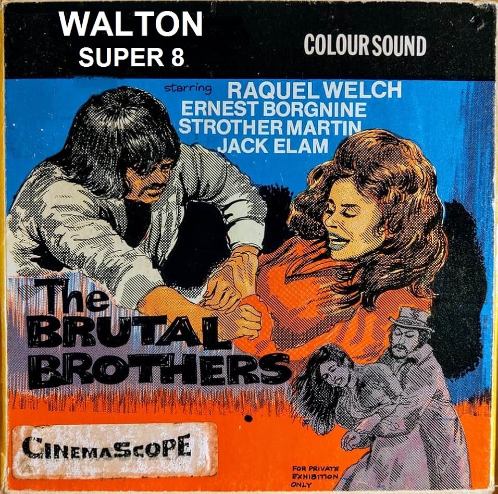 女ガンマン・皆殺しのメロディの画像