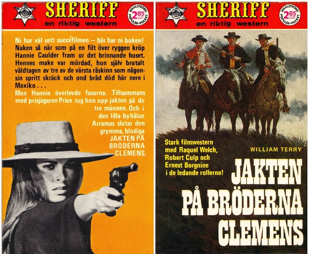 女ガンマン・皆殺しのメロディの画像