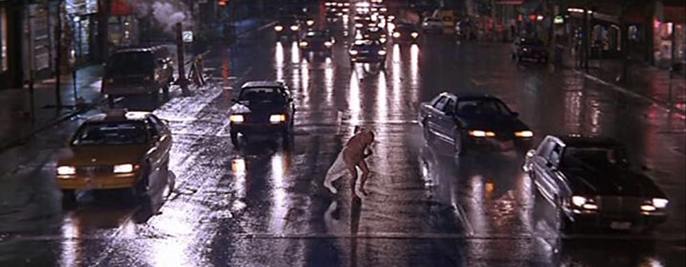 ボディ・バンクの画像